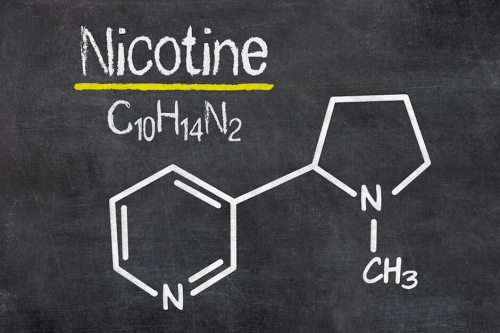 wie synthetiseert chemisch nicotine?