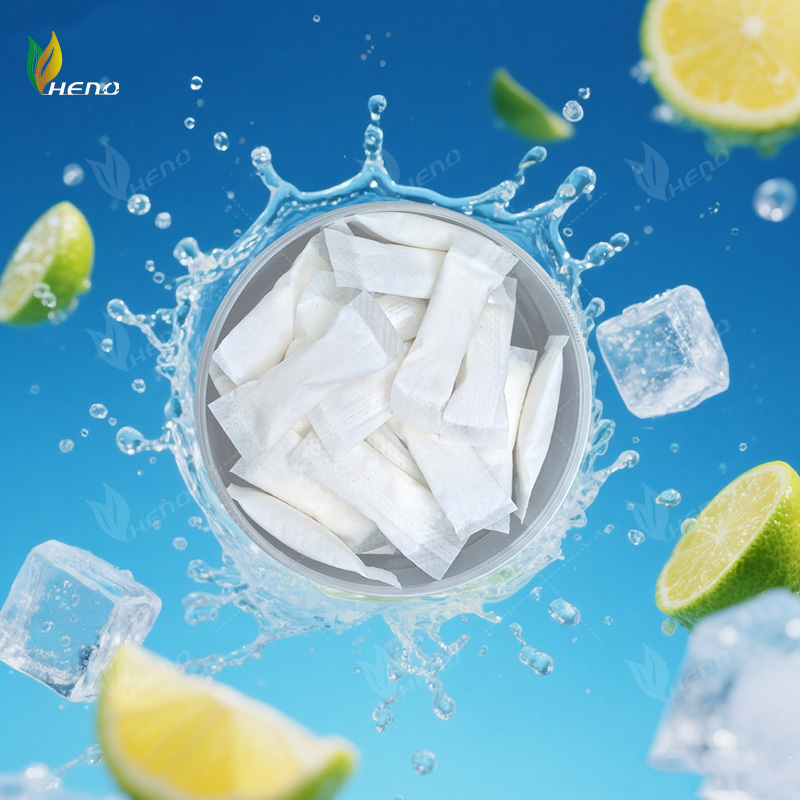 professionele 6mg Nicotinezakjes OEM fabrikanten